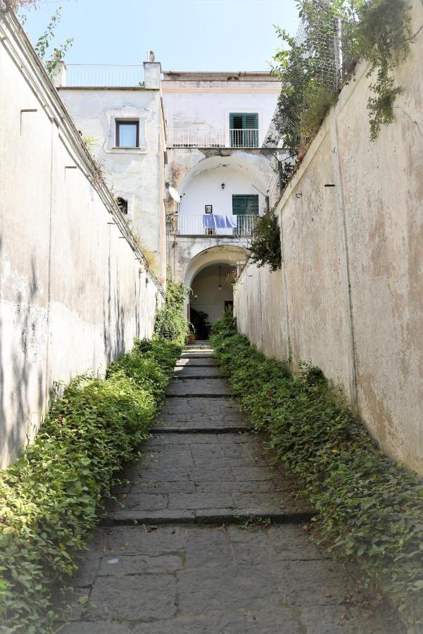 Casa Vacanza "Nonna Matilde" A Meta Di Sorrento, 600Mt Dal Mare, Casa Per 4 Ngoại thất bức ảnh